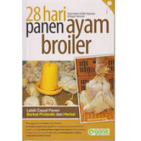 28 Hari Panen Ayam Broiler