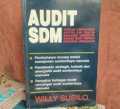 Audit SDM : Panduan Komprehensif Auditor dan Praktisi Manajemen Sumberdaya Manusia Serta Pimpinan Organisasi/Perusahaan