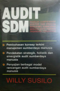 Audit SDM