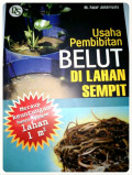 Usaha Pembibitan Belut di Lahan Sempit