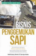 Bisnis Penggemukan Sapi