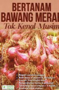 Bertanam Bawang Merah Tak Kenal Musim