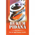 Hukum pidana edisi revisi