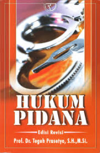 Hukum Pidana : edisi revisi