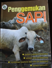 Penggemukan Sapi