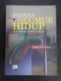 Pidana Seumur Hidup : Dalam Sistem Hukum Pidana di Indonesia